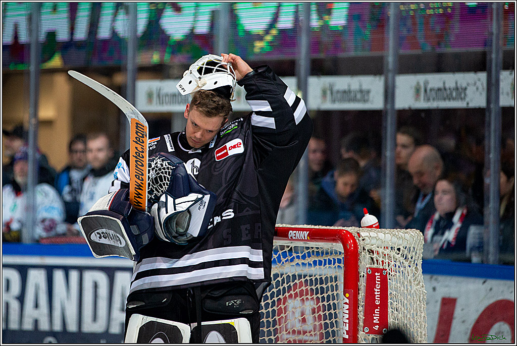 PENNY DEL; Iserlohn Roosters- Koelner Haie; Iserlohn, 24.02.2023